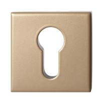 GPF9386.A4 Champagne blend square security rose inside
