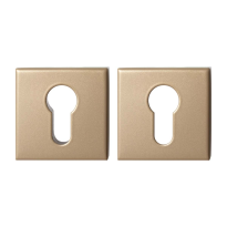 GPF9386.A4 Champagne blend square security rose set