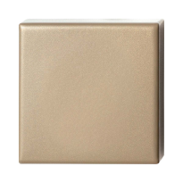GPF9388.A4 Champagne blend square security rose outside