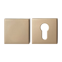 GPF9388.A4 Champagne blend square security rose set