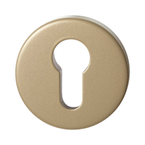 GPF9391.A4 Champagne blend square security rose inside