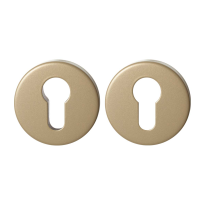 GPF9391.A4 Champagne blend square security rose set