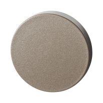 GPF9393.A3 Mocca blend square security rose outside