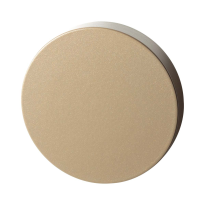 GPF9393.A4 Champagne blend square security rose outside