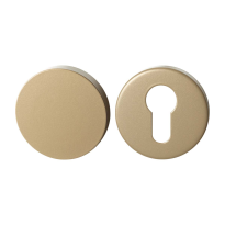 GPF9393.A4 Champagne blend square security rose set