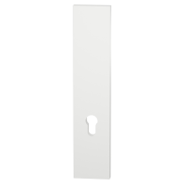 GPF9847.62 security outside plate without handle hole PC55