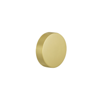 GPF9860.P4 excentric knob for security plates fixed 