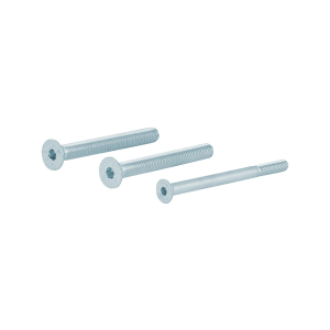 AG0335 set bouten tbv vh-schild (dd64mm)