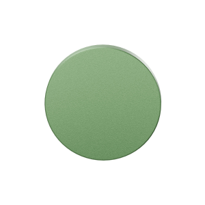 GPF199E blind rose 53x6mm Leaf