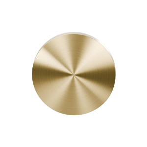 GPF199E blind rose 53x6mm PVD satin brass