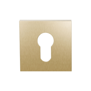 GPF199E cylinder rose 53x53x6,5 mm PVD satin brass