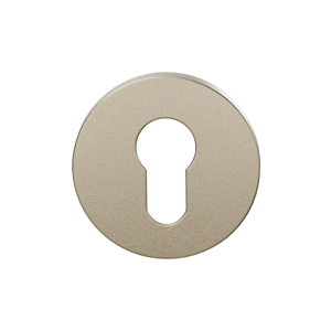 GPF199E cylinder rose 53x6mm Champagne blend