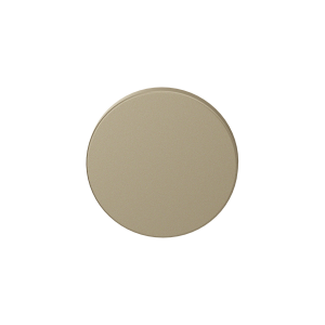 GPF0900VRA4 Champagne Blend blind rose round 53x6mm