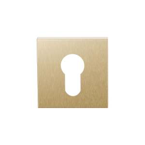GPF0902.02P4 cylinder rose 50x50x8mm PVD brass satin