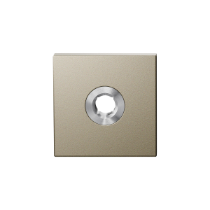 GPF1102.A4 Rose 50x50x8 mm Champagne blend