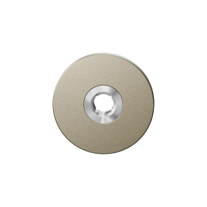GPF1105.A4 Rose 50x6 mm Champagne blend