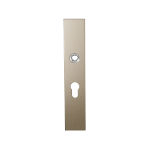 GPF1125.A4R long backplate rectangular 55PZ right handed Champagne blend
