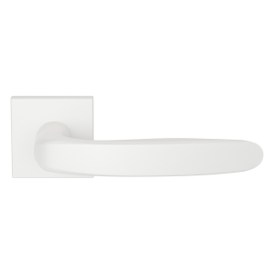 GPF1310.62-02 Taka door handle on rose 50x8mm
