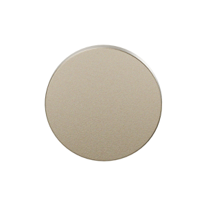 GPF199E blind rose 53x6mm Champagne blend