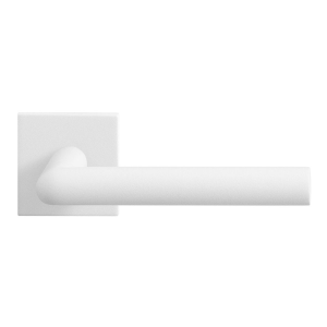 GPF8212.62-02 Toi door handle on rose 50x50x8mm