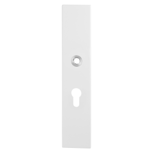 GPF8843.62 security outside plate