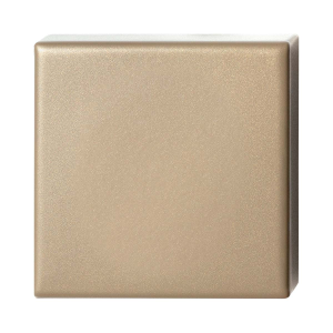GPF9388.A4 Champagne blend square security rose outside