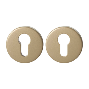 GPF9391.A4 Champagne blend square security rose set
