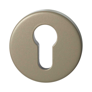GPF9392.A4.I199 Champagne blend round security rose inside