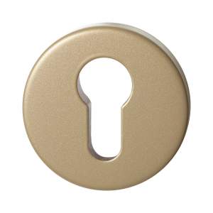 GPF9393.A4 Champagne blend square security rose inside