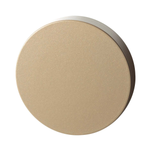 GPF9393.A4 Champagne blend square security rose outside