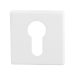 GPF8902.42 cylinder rose 50x50x8mm white