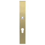 GPF9138.P4 security inside plate 