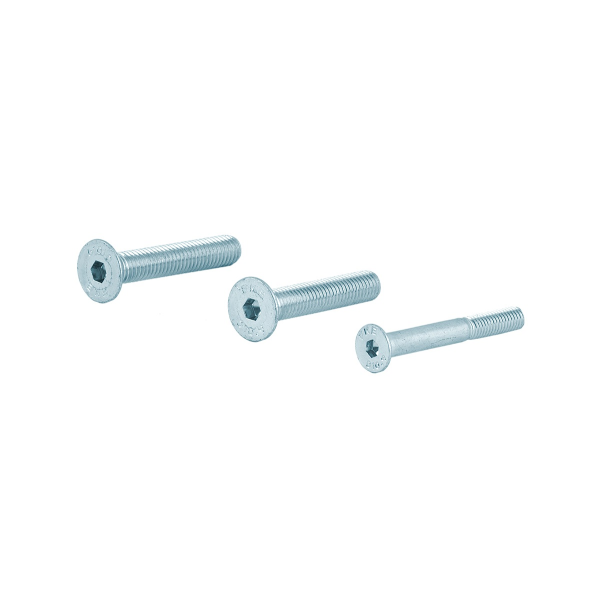 AG0333 set bouten tbv vh-schild (dd44mm)