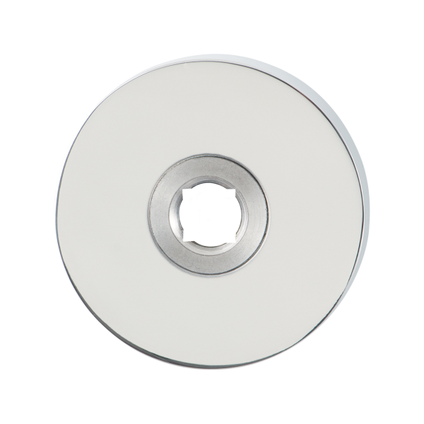 GPF1100.40 RVS pol ronde rozet 50x8mm