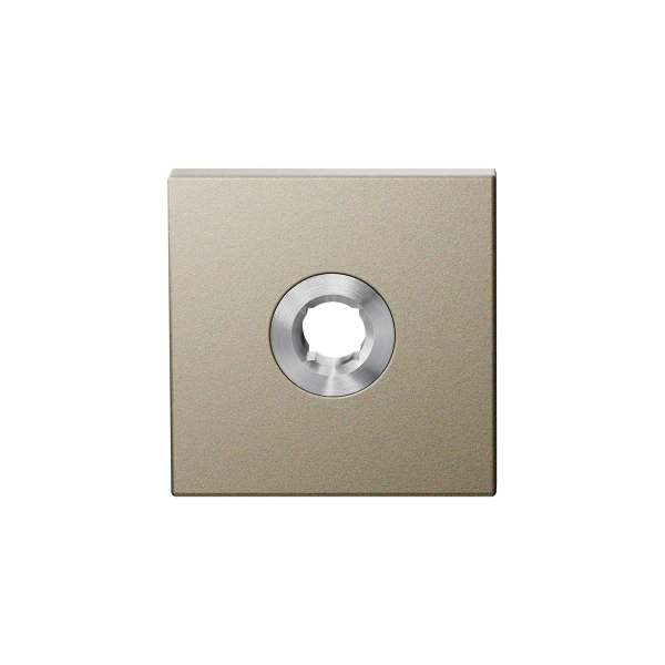 GPF1102 Champagne blend rozet 50x50x8mm