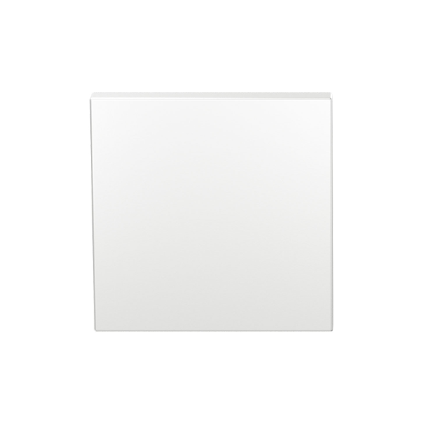 GPF199E blind rose 53x53x6,5 mm white uniform