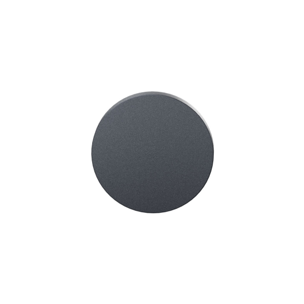 GPF199E blind rose 53x6mm anthracite structure