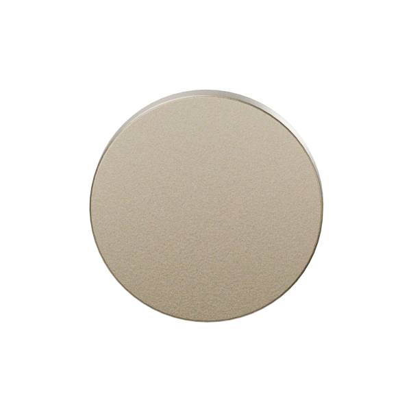 GPF199E blind rose 53x6mm Champagne blend