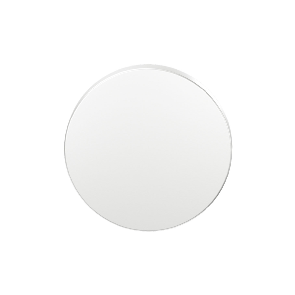GPF199E blind rose 53x6mm white uniform