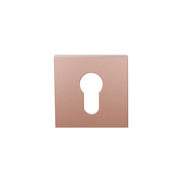 GPF199E cylinder rose 53x53x6,5 mm Blush