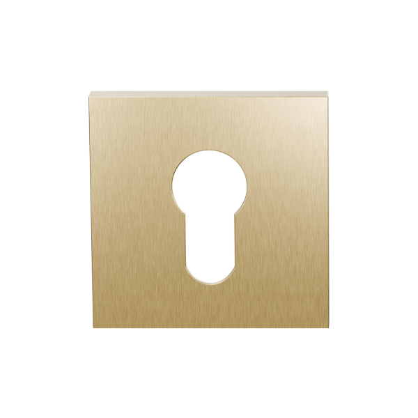 GPF199E cylinder rose 53x53x6,5 mm PVD satin brass
