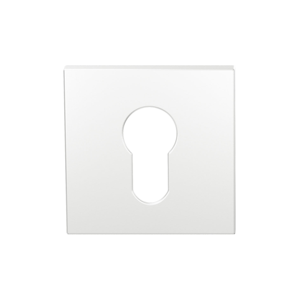 GPF199E cylinder rose 53x53x6,5 mm white uniform