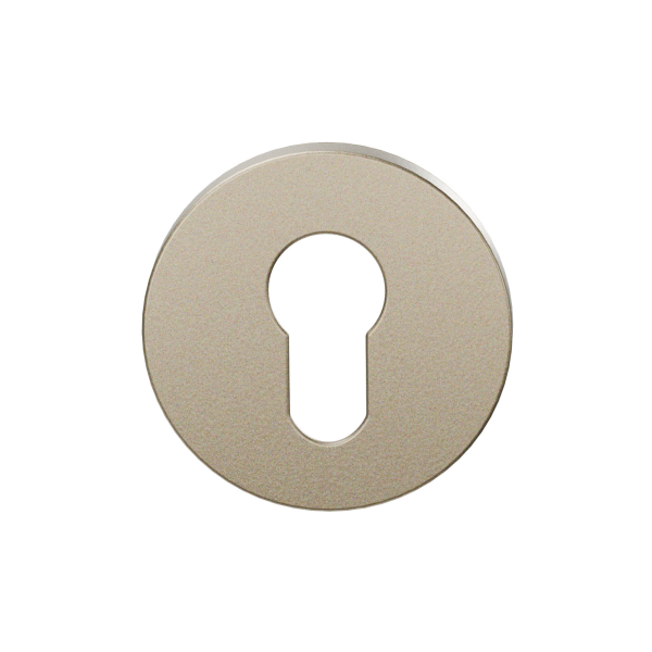 GPF199E cylinder rose 53x6mm Champagne blend