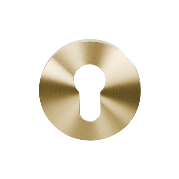 GPF199E cylinder rose 53x6mm PVD satin brass