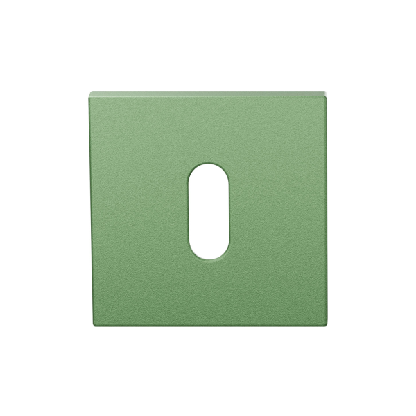 GPF199E keyhole escutcheon 53x53x6,5 mm Leaf