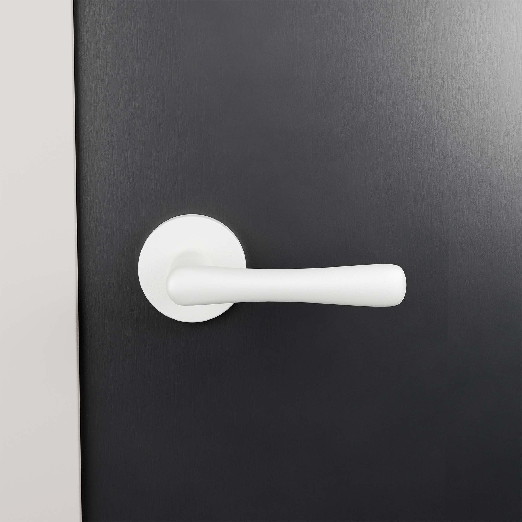 GPF1312620100 00 rozet sfeer deur donker voor.jpg