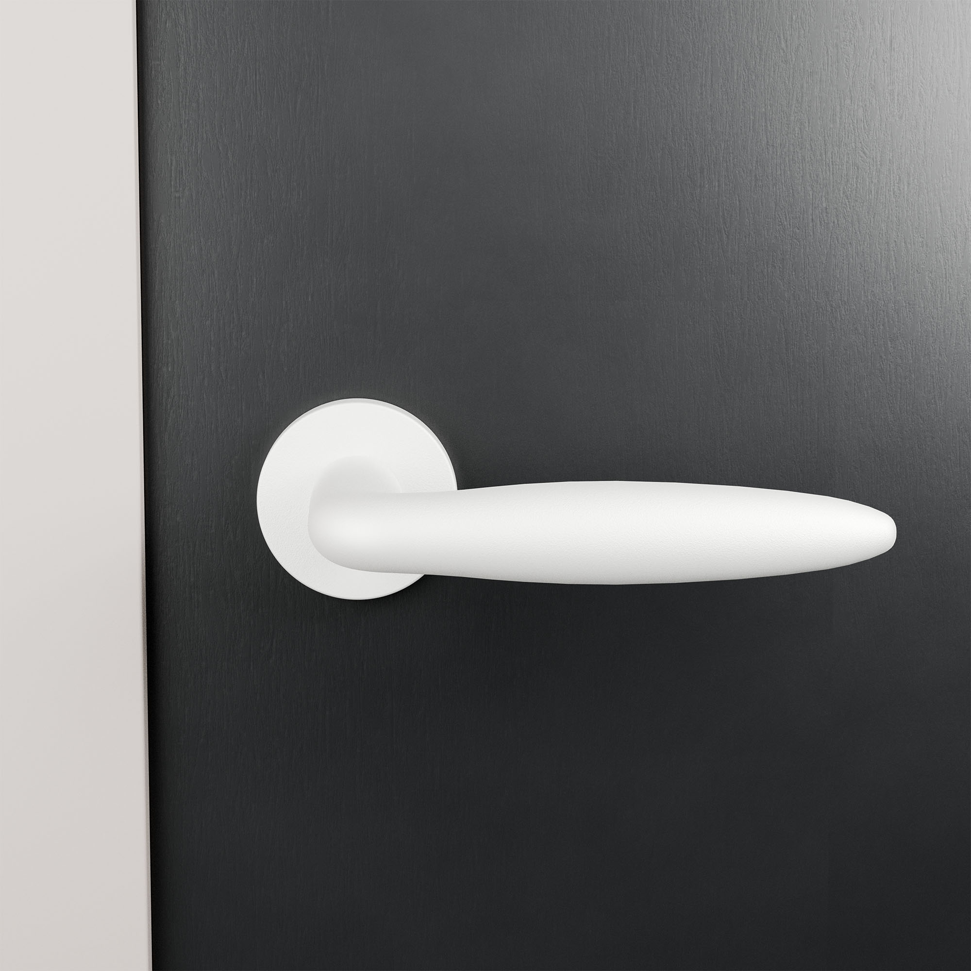 GPF822201100 00 rozet sfeer deur donker voor.jpg